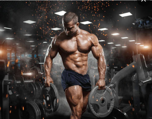 Magnum Quattro - 4-Stage Protein Isolate (Original)