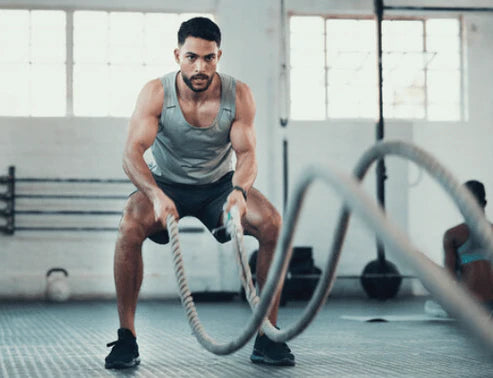 NPNutrition Premium – L-Carnitine (Original)