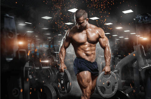 NP Nutrition - L-Glutamin & BCAA (Original)